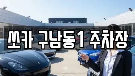 제주특별자치도 제주시 도남동 렌트카 전문 쏘카 구남동1 주차장