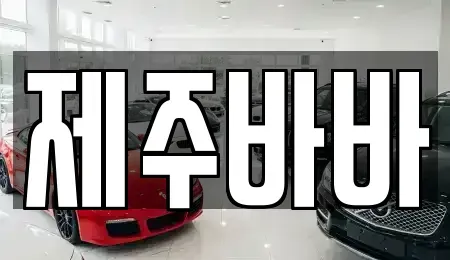 제주특별자치도 제주시 도남동 렌트카 전문 제주바바