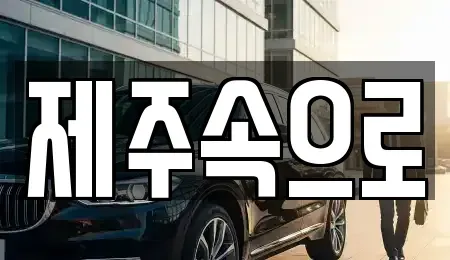 제주특별자치도 제주시 도남동 렌트카 전문 제주속으로