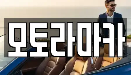 제주특별자치도 제주시 도남동 중고차매매 전문 모토라마카