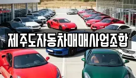 제주특별자치도 제주시 도남동 중고차매매 전문 제주도자동차매매사업조합