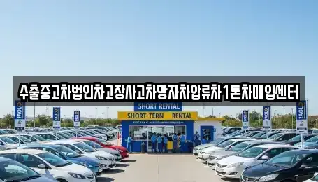 충북 영동군 매곡면 중고차 전문 수출중고차법인차고장사고차망자차압류차1톤차매입센터