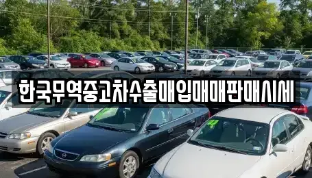 충청북도 음성군 대소면 중고차매입 전문 한국무역중고차수출매입매매판매시세